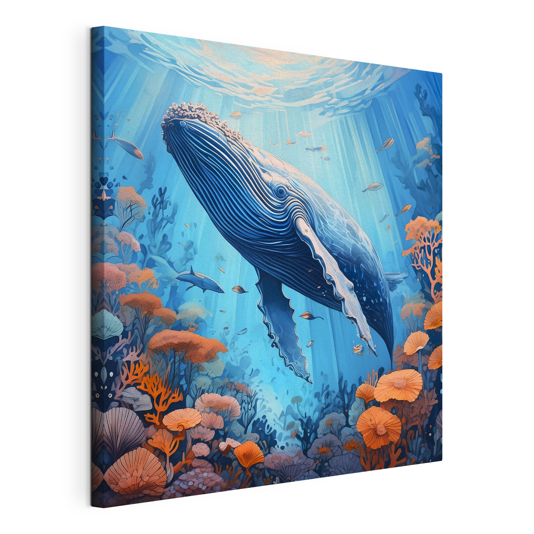A whale swimming under water A whale swimming under water