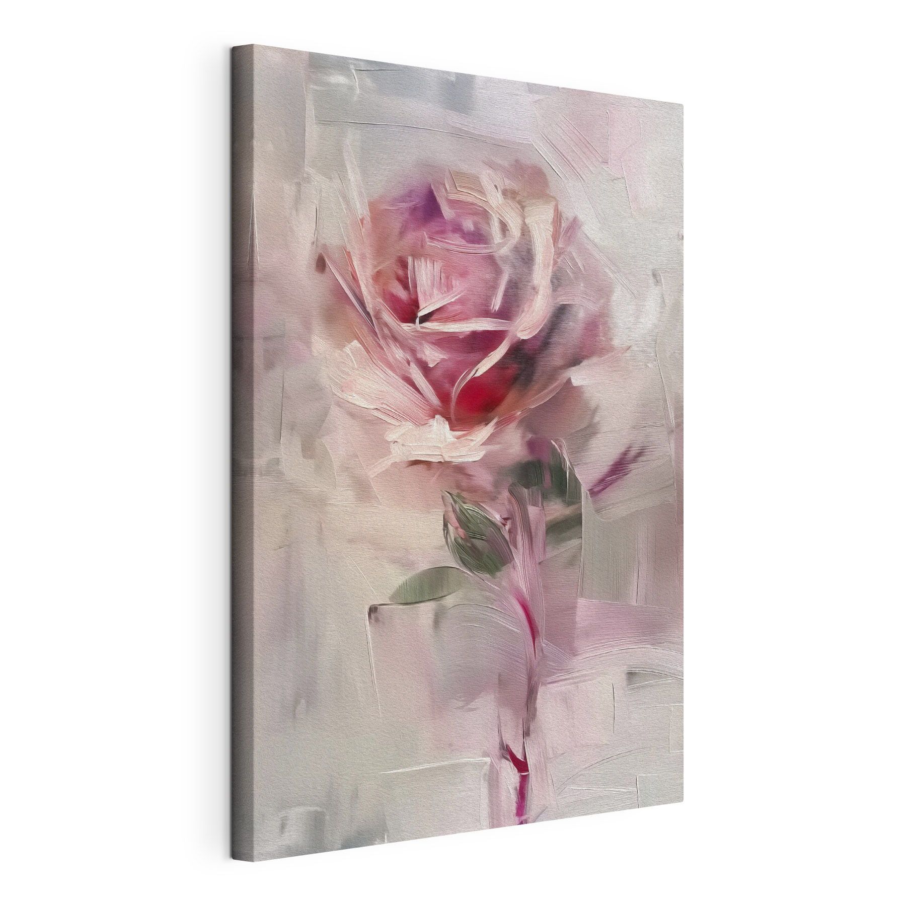 Delicate rose in soft hues Delicate rose in soft hues