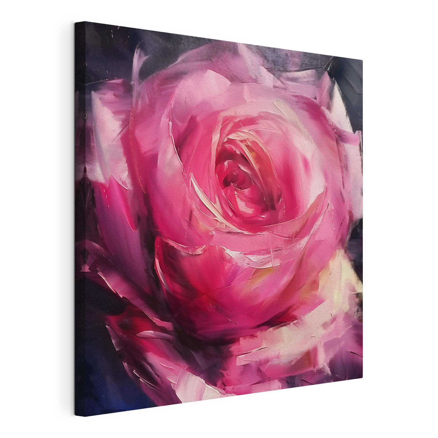 Beautiful pink rose in soft hues Beautiful pink rose in soft hues