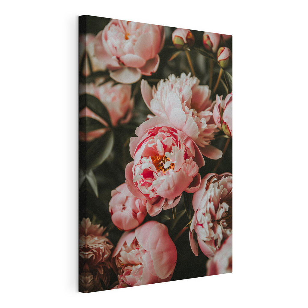 Group of pink flowers