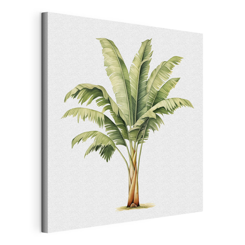 Palm tree with large leaves