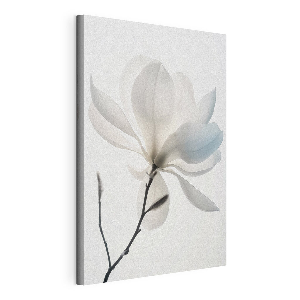 White flower with leaves White flower with leaves