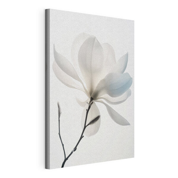 Quadri Fiore bianco con foglie (COD: s39578) Quadri Quadri Fiore bianco con foglie (COD: s39578)