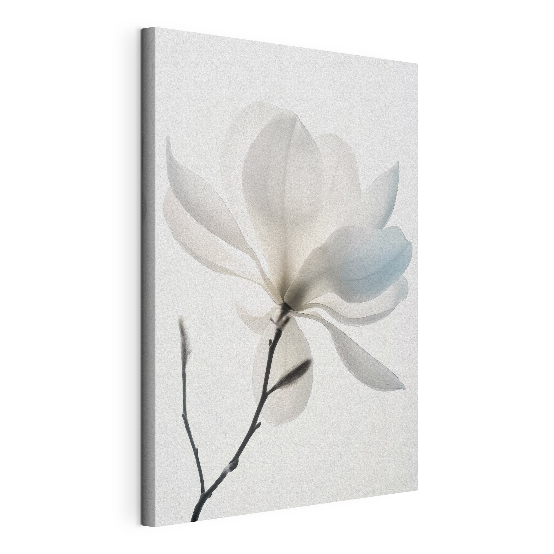 White flower with leaves White flower with leaves