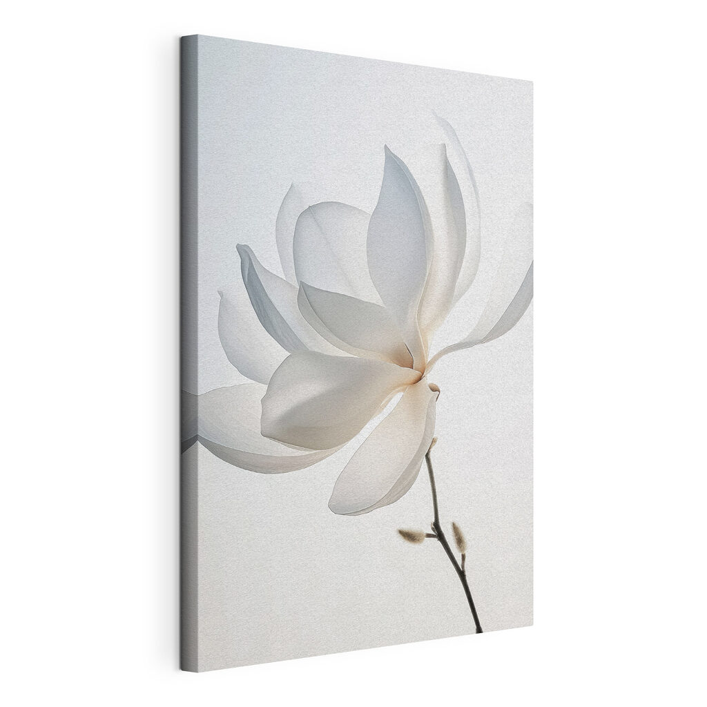 White flower with petals