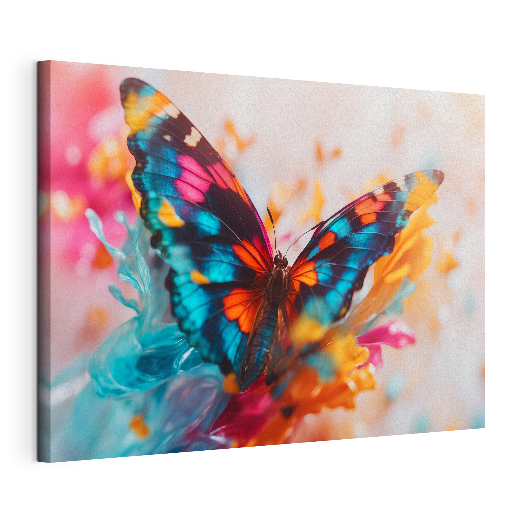 Butterfly on a flower