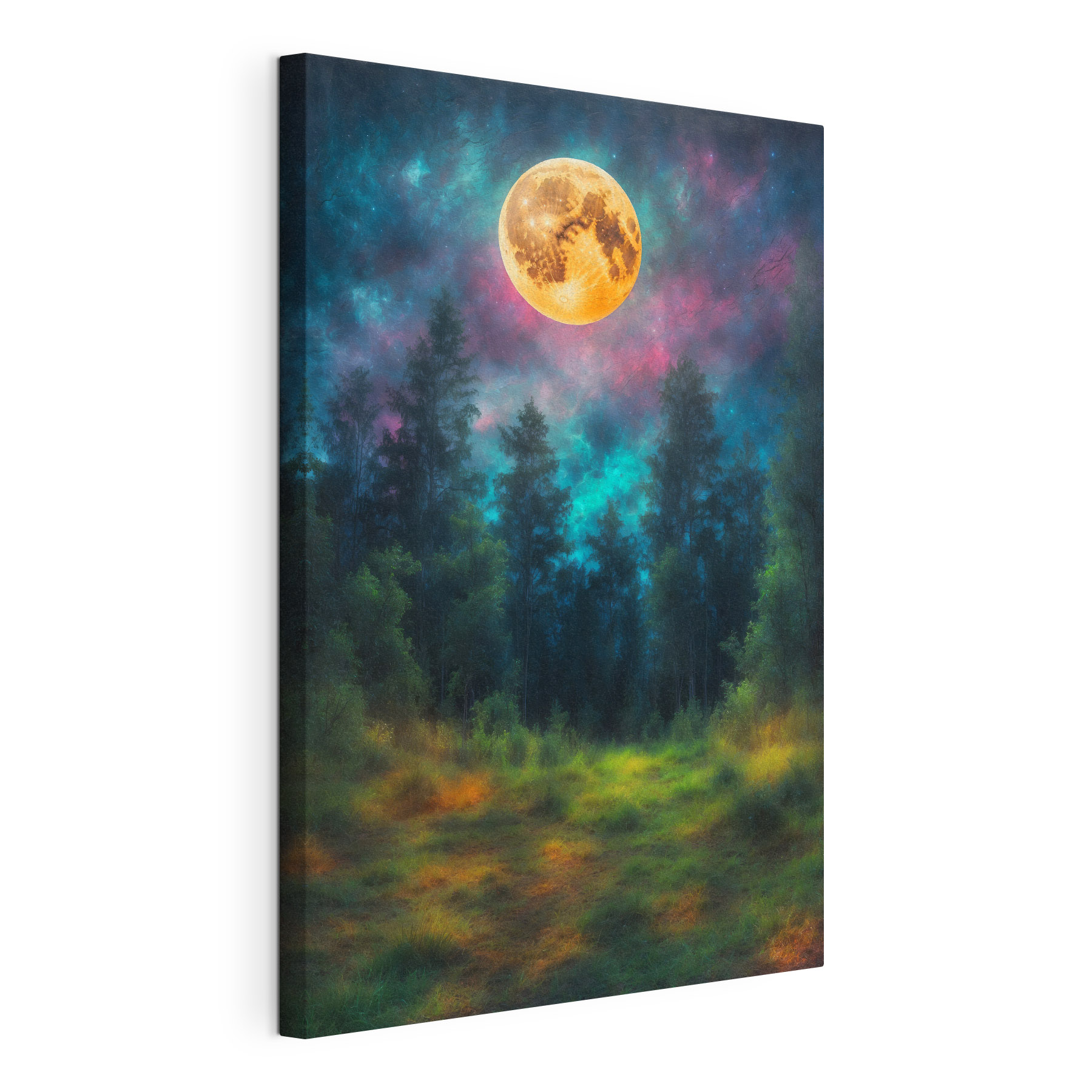 Moon in the sky over a forest