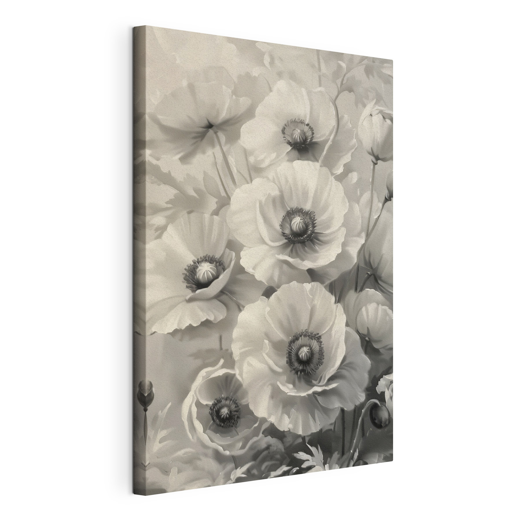 Elegant blossoms in soft monochrome tones Elegant blossoms in soft monochrome tones