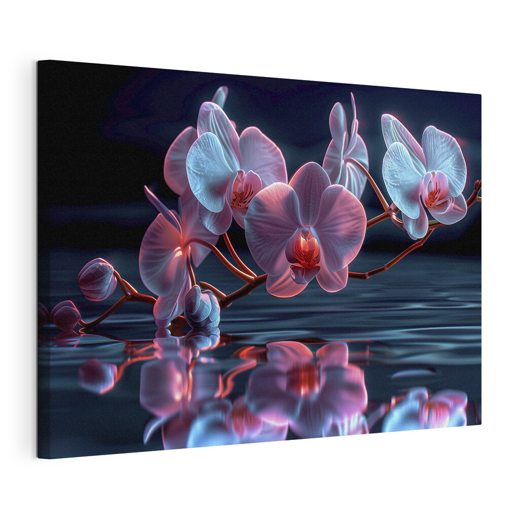 Orchid reflections in tranquil water Orchid reflections in tranquil water