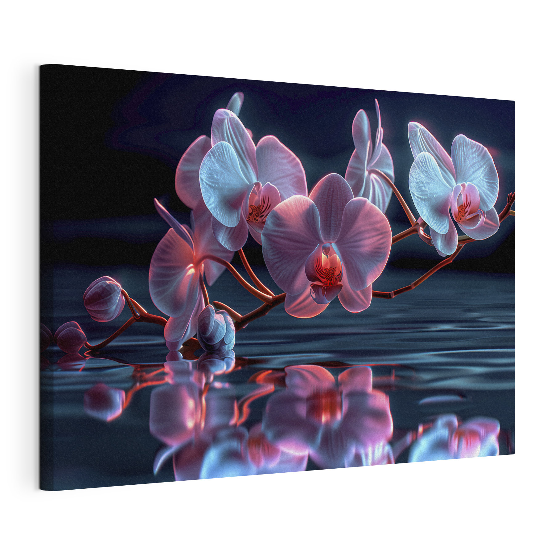 Orchid reflections in tranquil water Orchid reflections in tranquil water