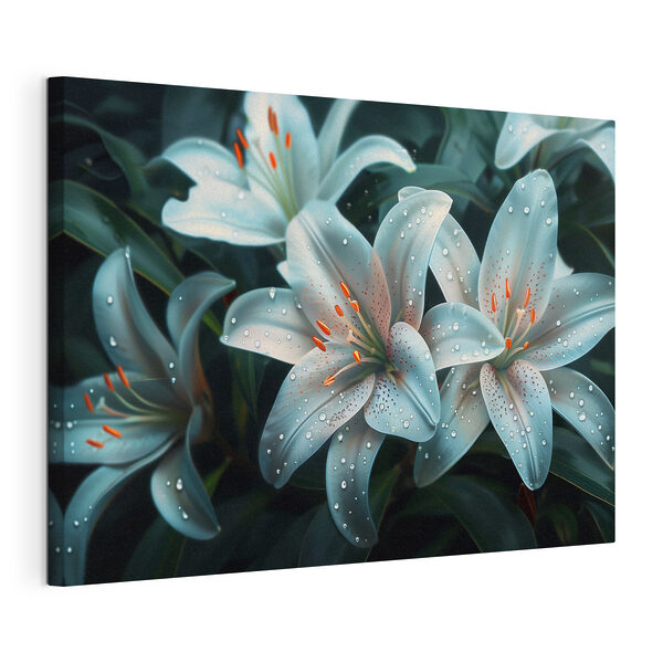 Mazzo di fiori bianchi con goccioline d'acqua Quadri Mazzo di fiori bianchi con goccioline d'acqua