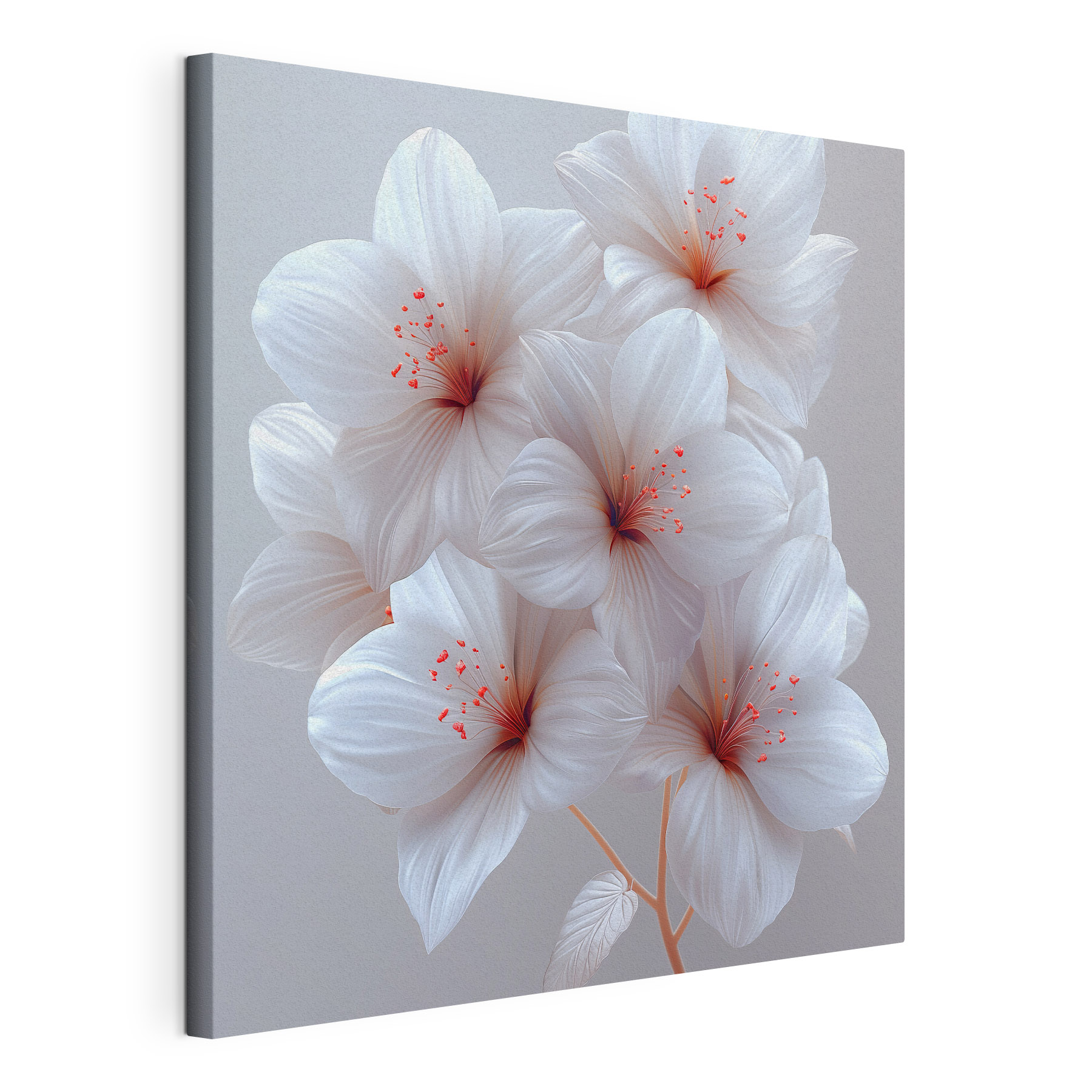 Group of white flowers
