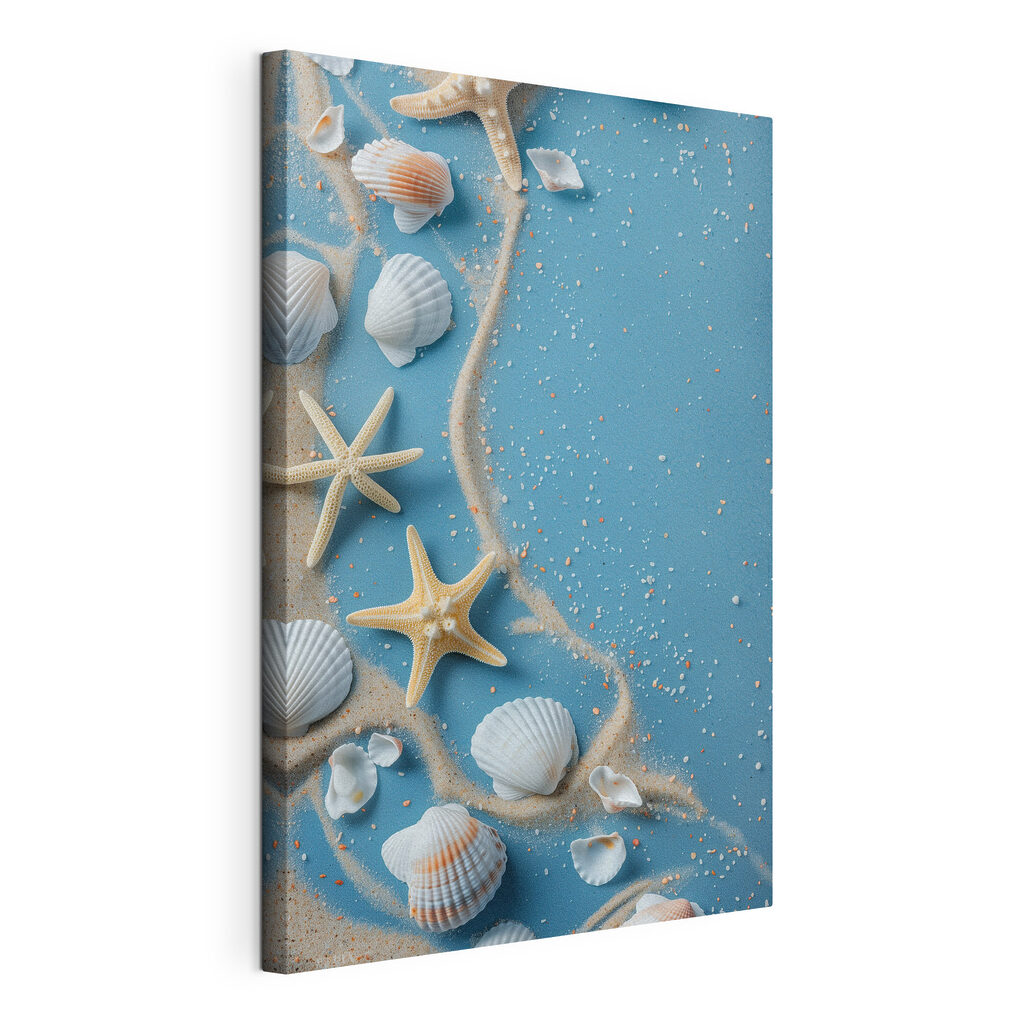 Group of shells and starfishes on a blue surface Group of shells and starfishes on a blue surface