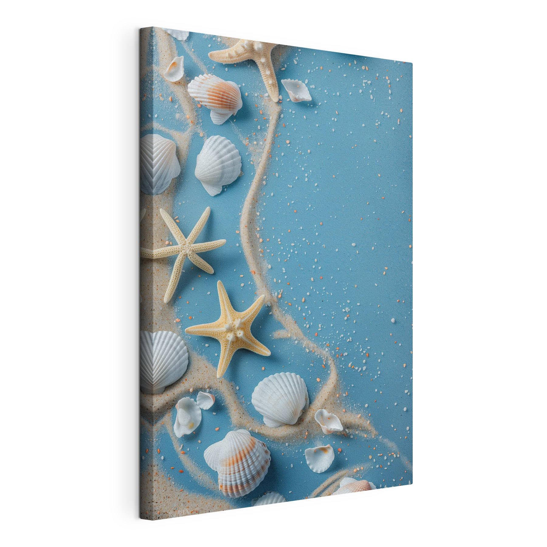 Group of shells and starfishes on a blue surface Group of shells and starfishes on a blue surface