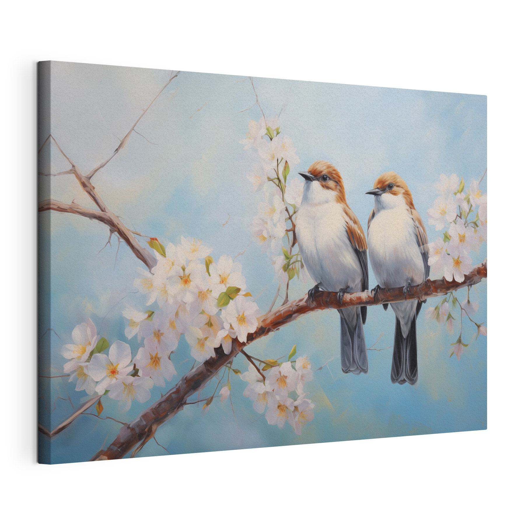 Two birds on a branch with white flowers Two birds on a branch with white flowers