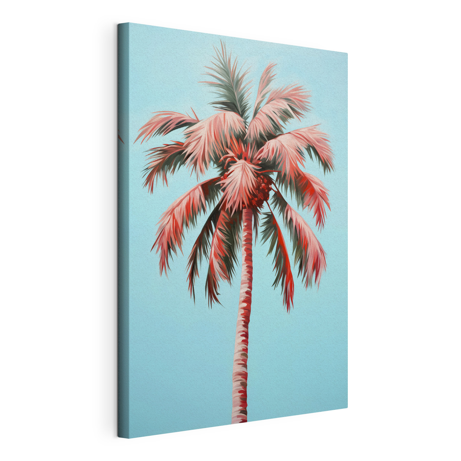 Palm tree with pink leaves Palm tree with pink leaves