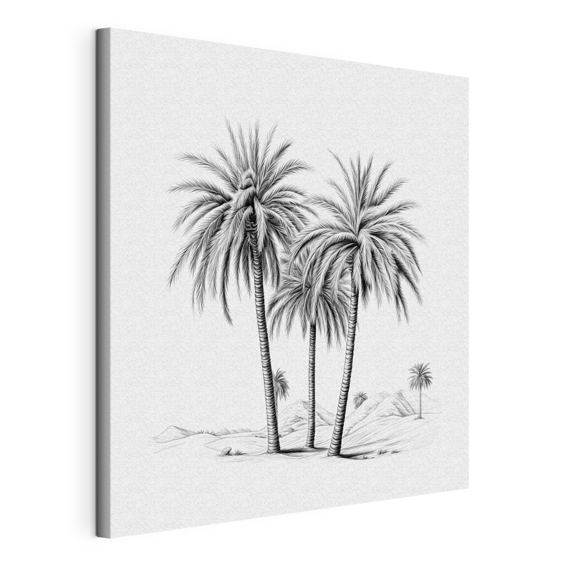 Group of palm trees in a desert