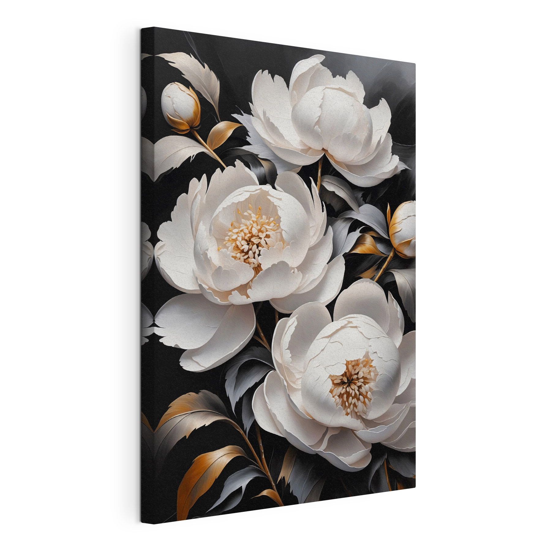 Elegant white peonies on dark background Elegant white peonies on dark background