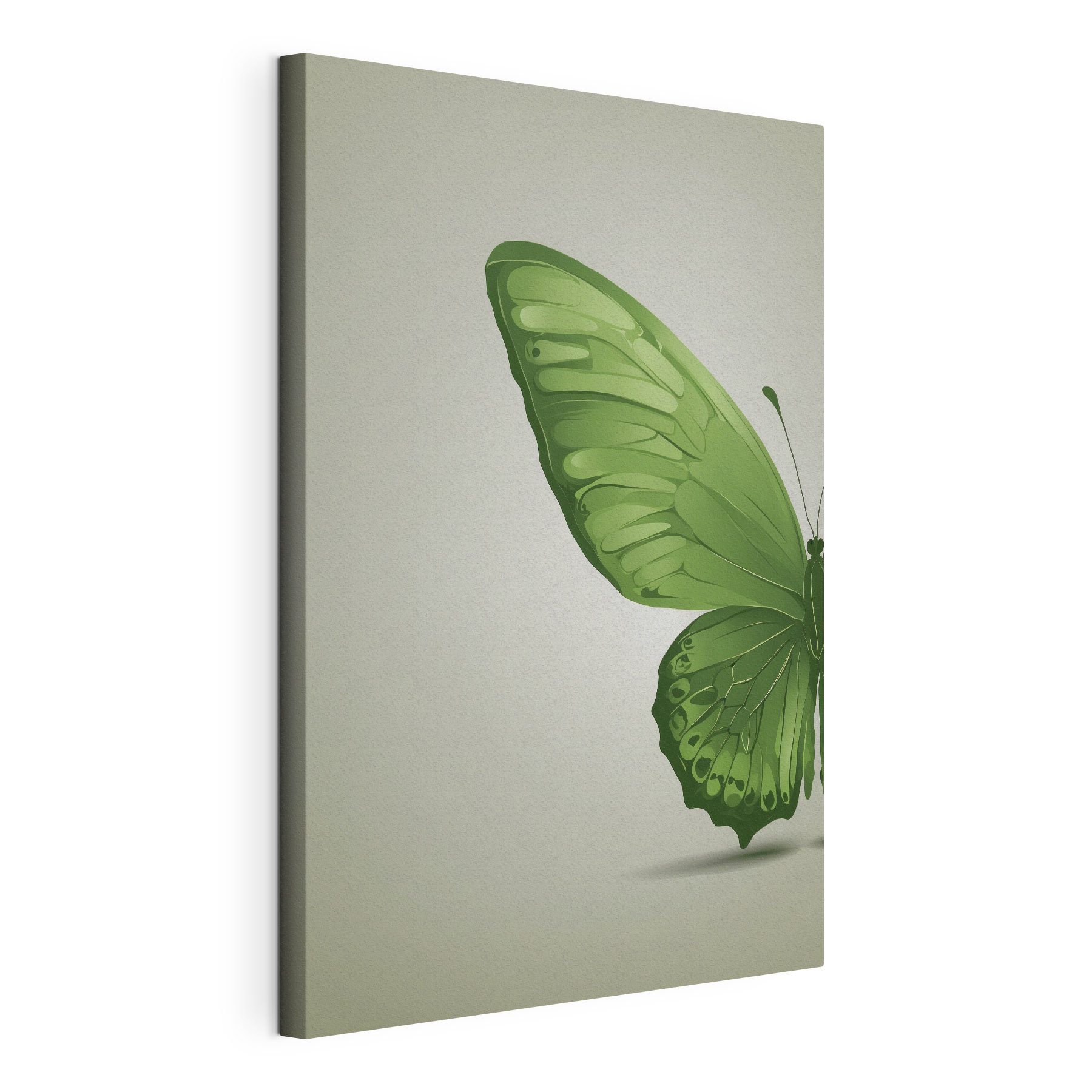 Green butterfly with wings Green butterfly with wings