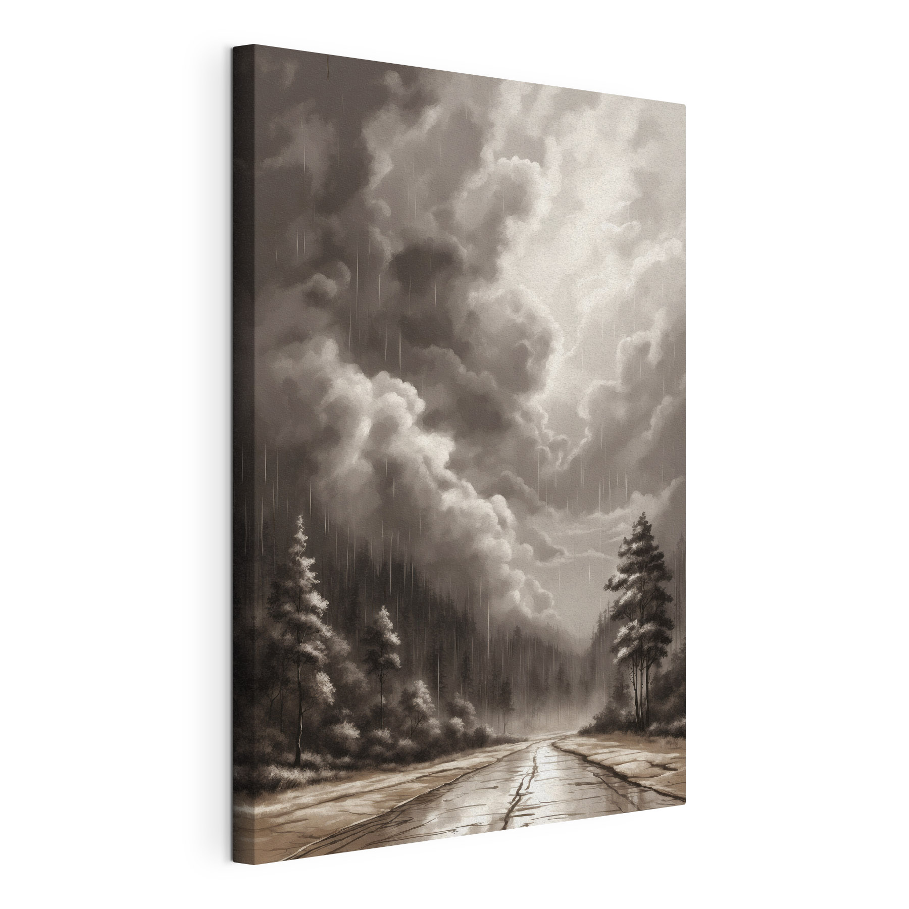 Black and white image of a forest and clouds