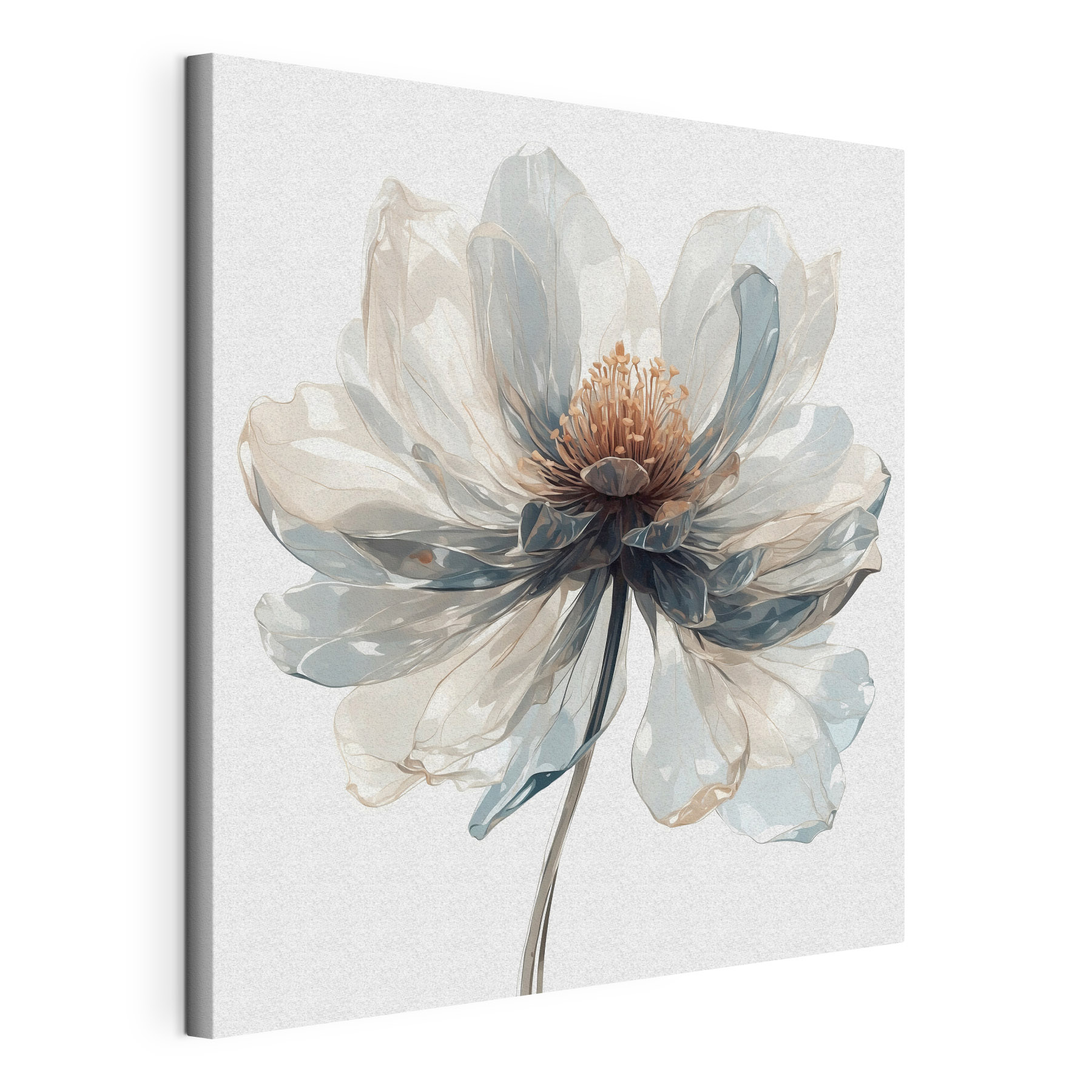 Delicate flower in soft colors Delicate flower in soft colors