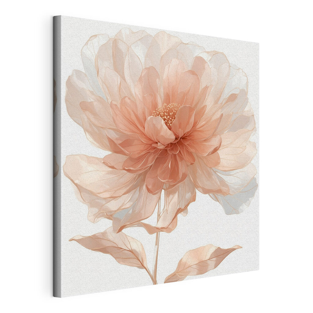 Delicate bloom in soft peach tones Delicate bloom in soft peach tones