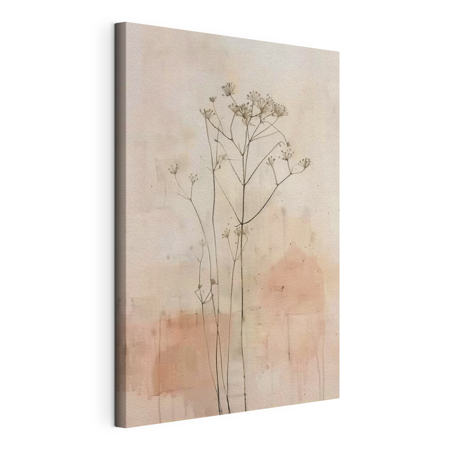Plant with flowers on it Plant with flowers on it