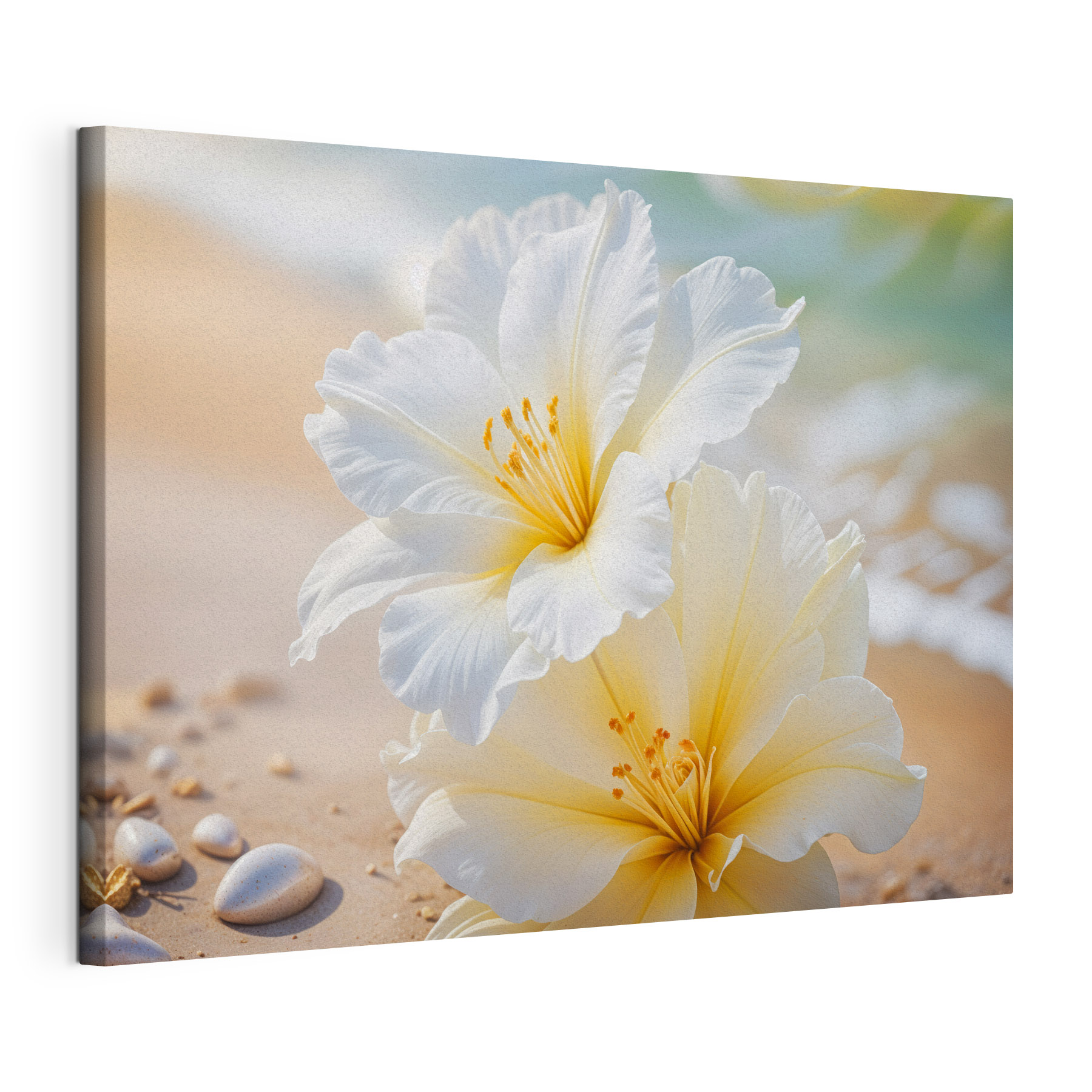 Delicate blooms by the shoreline