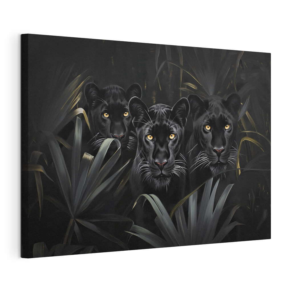 Group of black tigers in the jungle Group of black tigers in the jungle