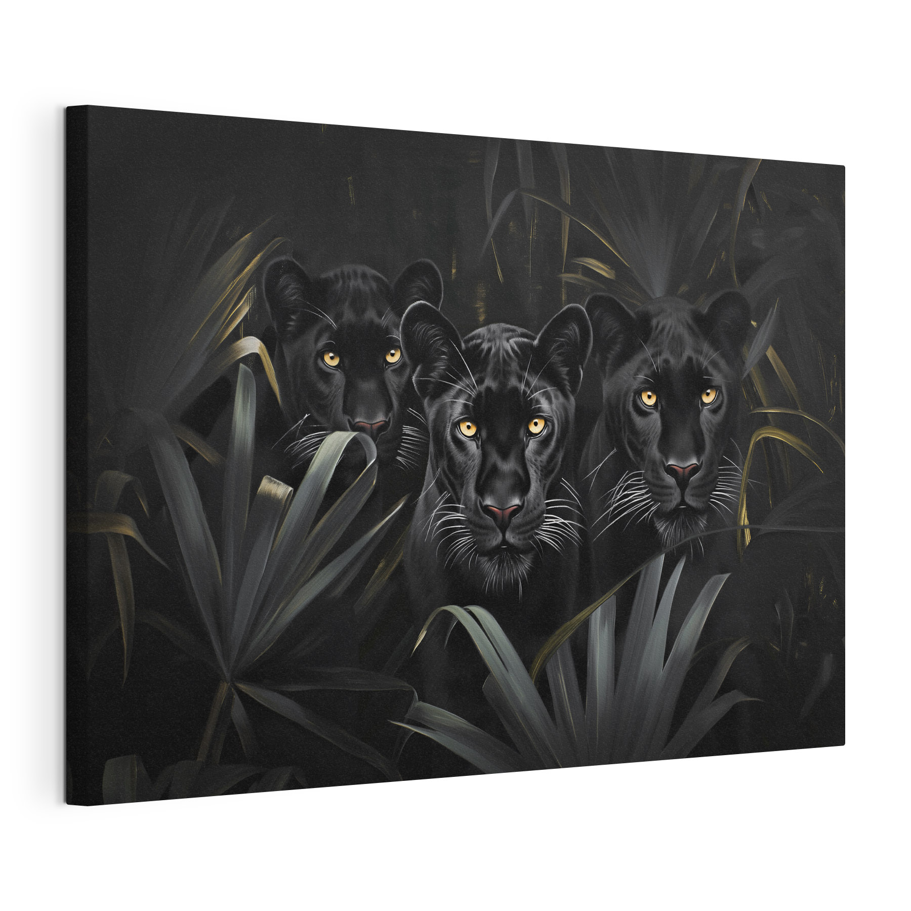 Group of black tigers in the jungle Group of black tigers in the jungle