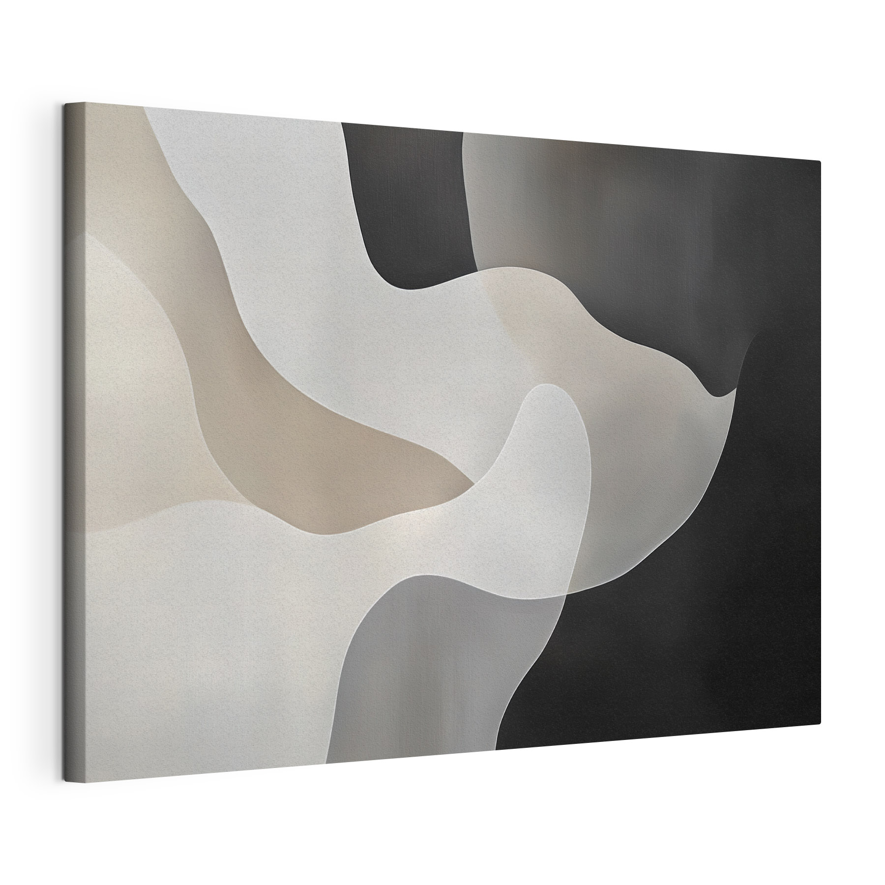 Black and white background with white and grey shapes Black and white background with white and grey shapes
