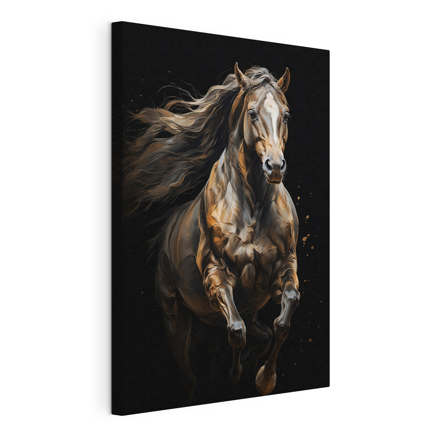 Horse with long hair running Horse with long hair running