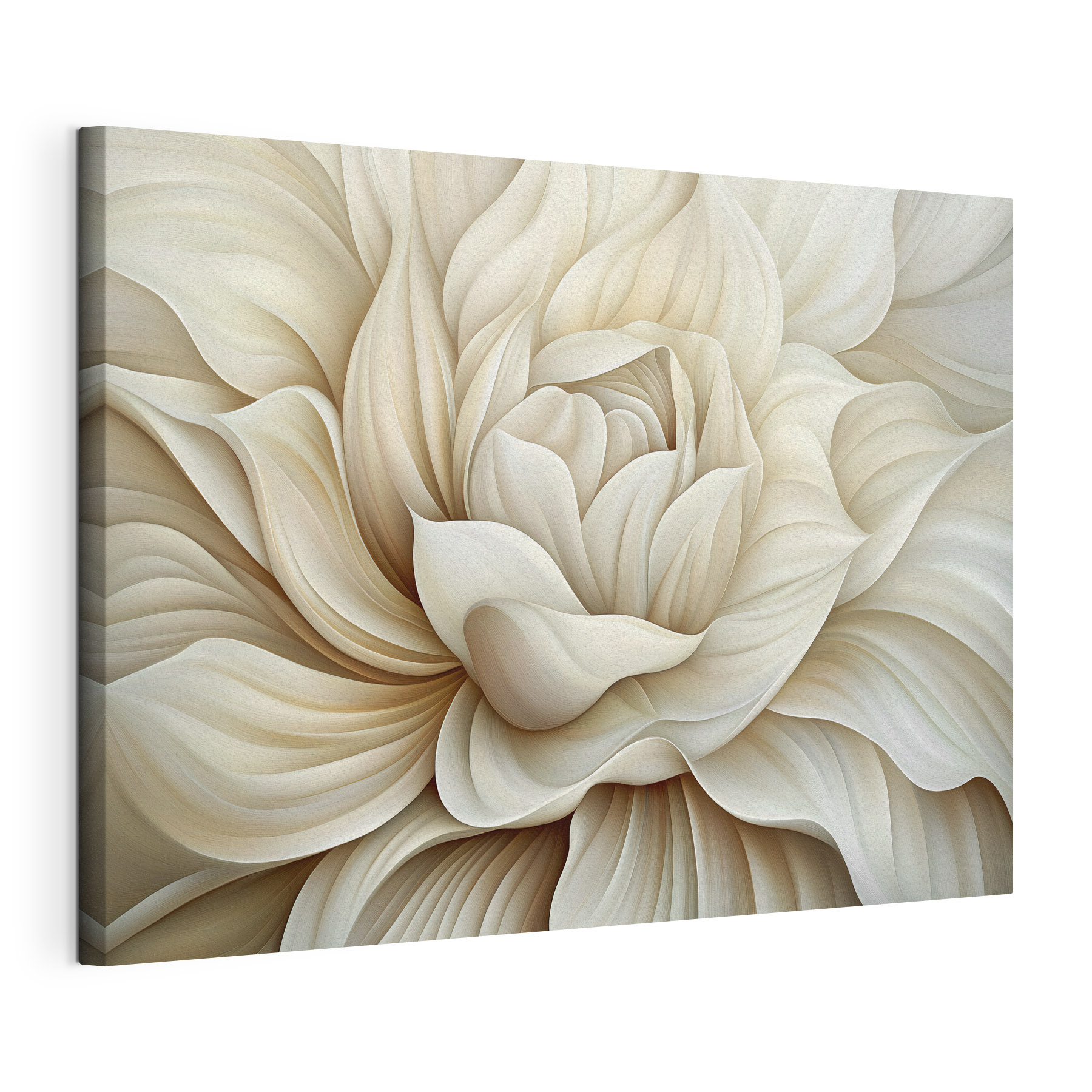 Elegant petals in soft hues