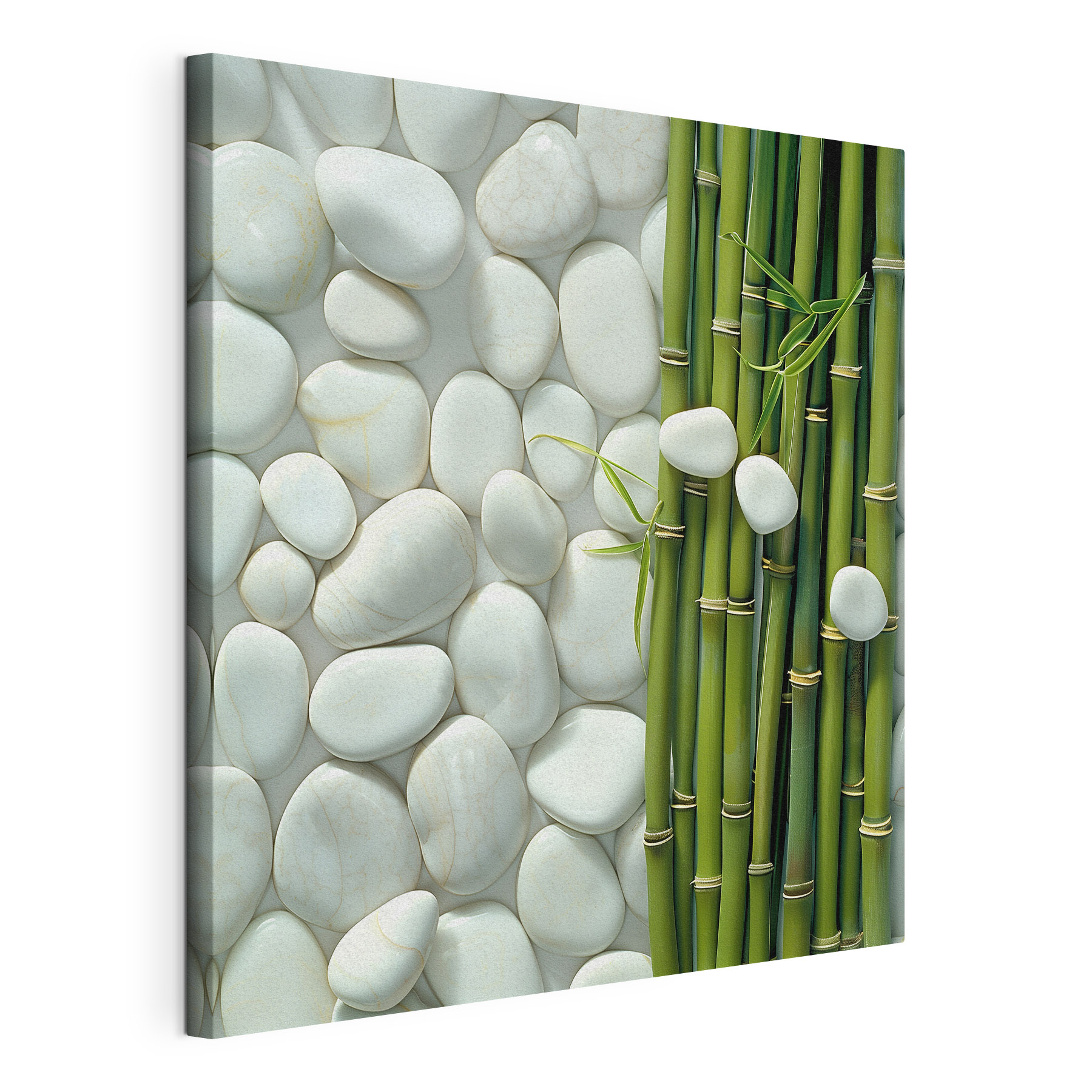 Group of green bamboo stems and white rocks