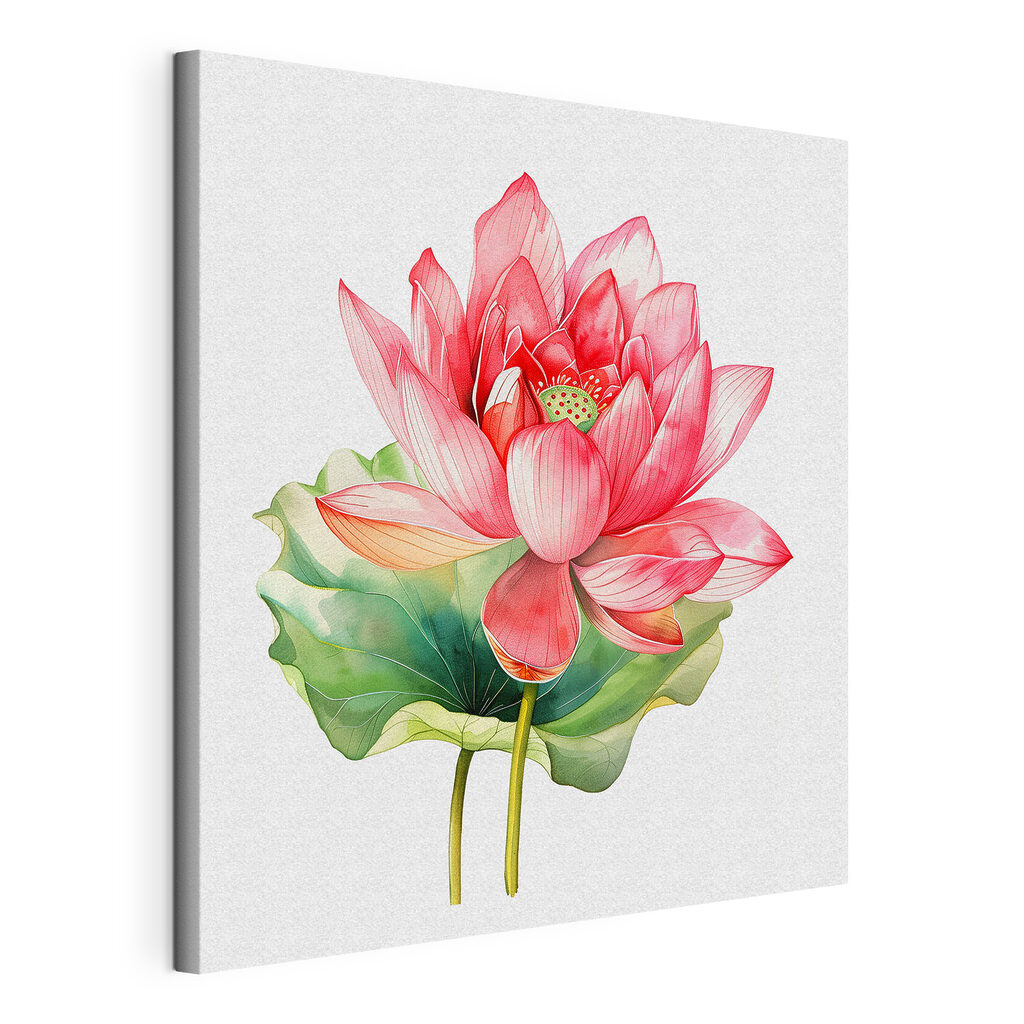 Watercolor of a pink flower Watercolor of a pink flower