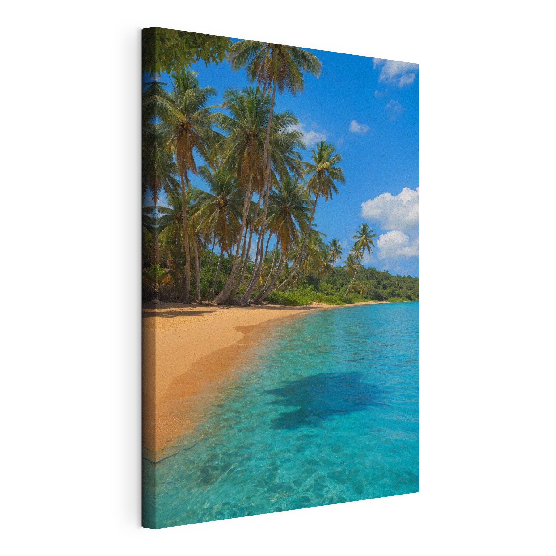 Beach with palm trees and blue water Beach with palm trees and blue water