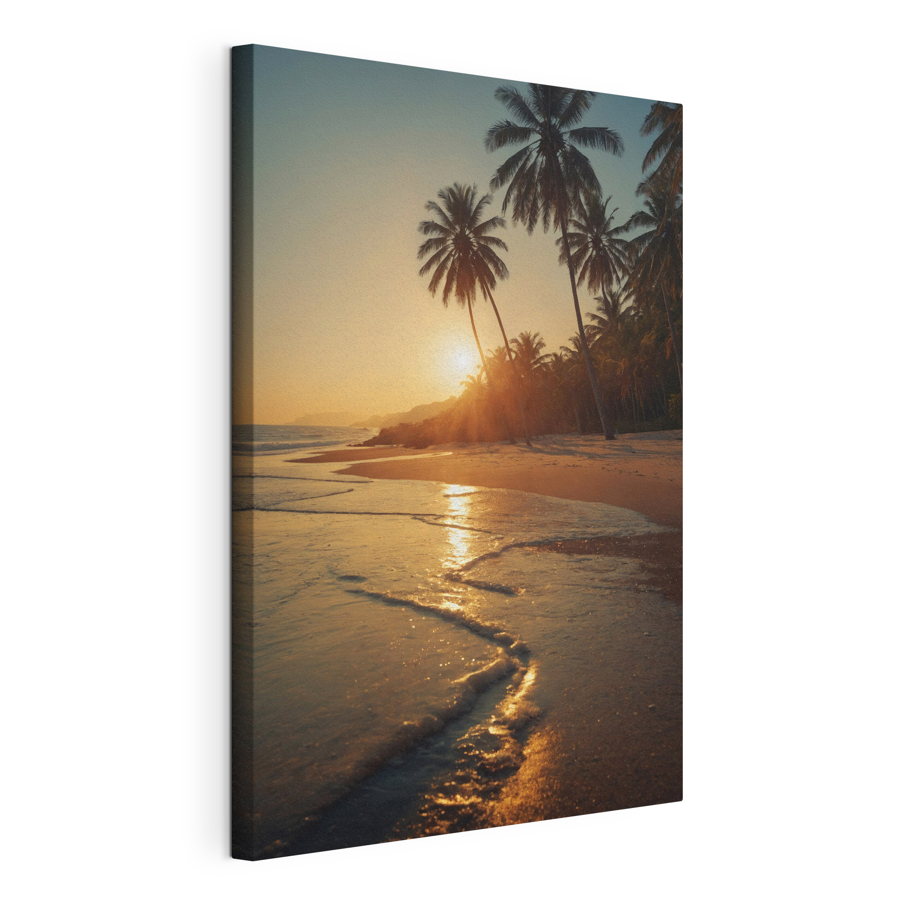 Beach with palm trees and water Beach with palm trees and water