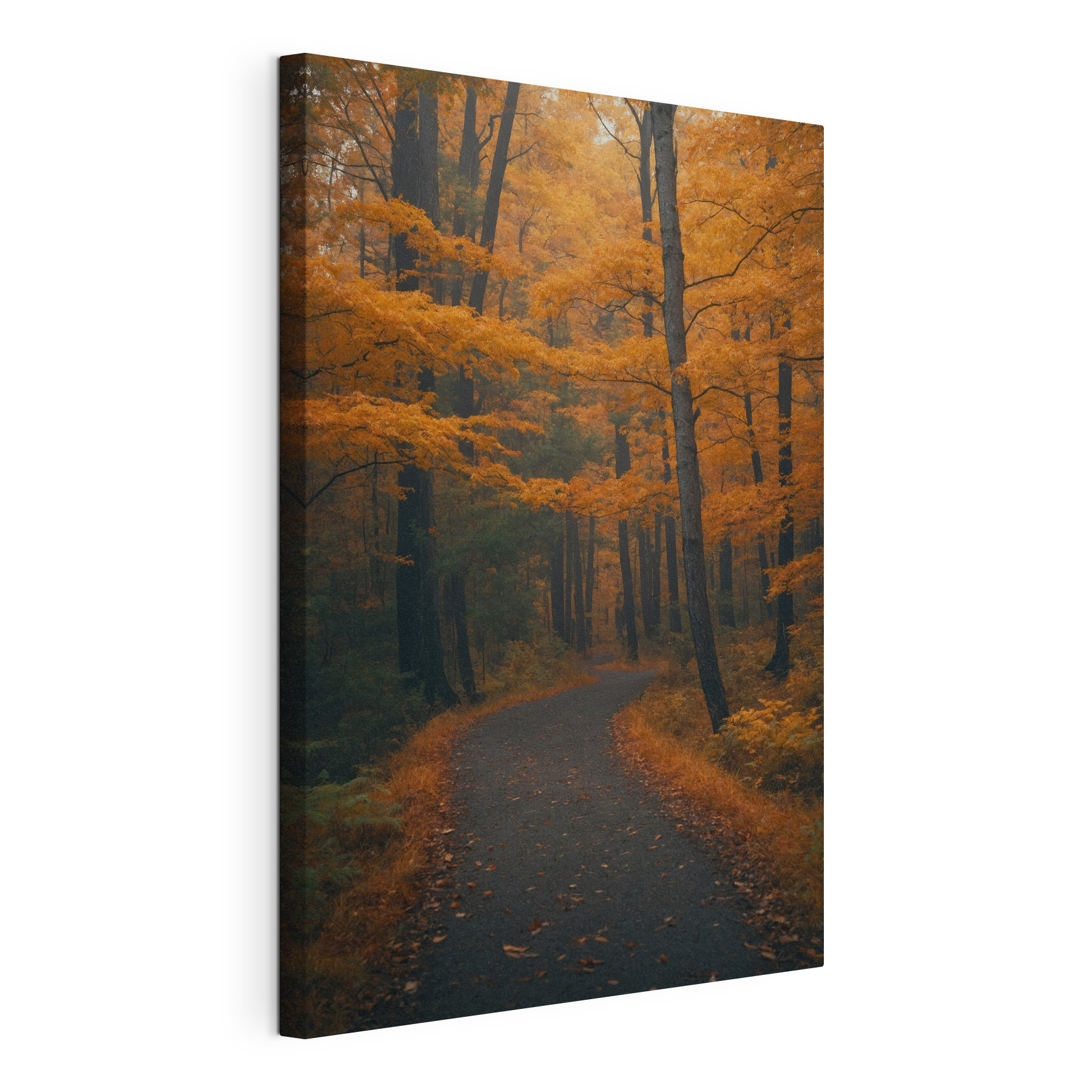 Path through a forest with orange leaves