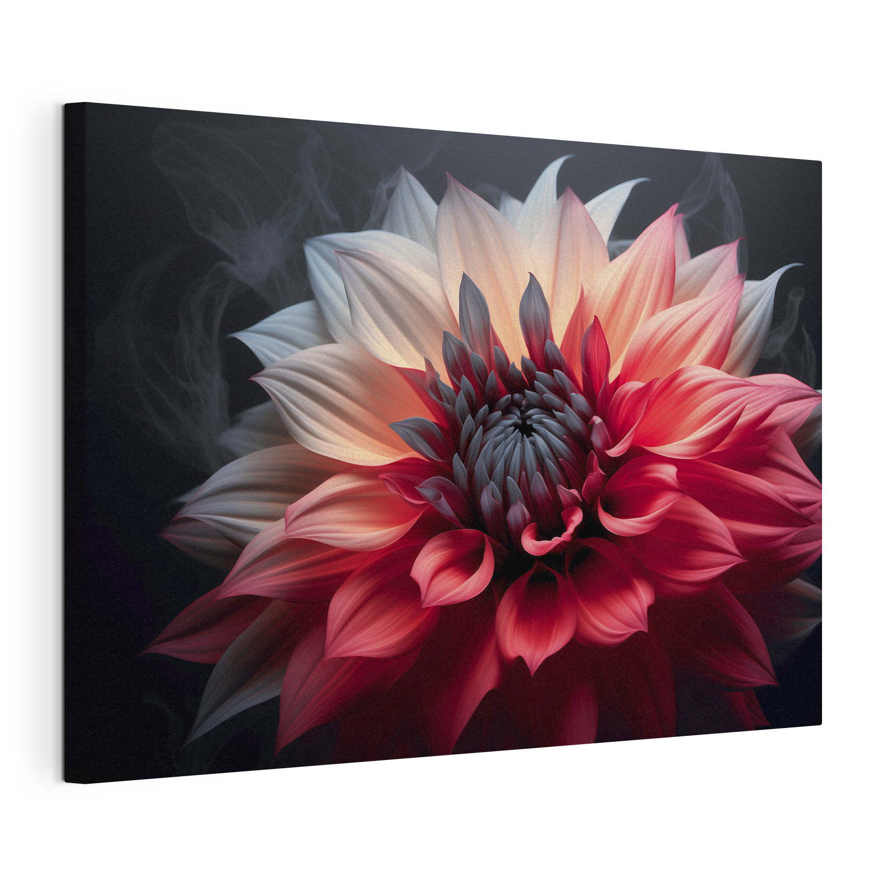 Vibrant petals in artistic display