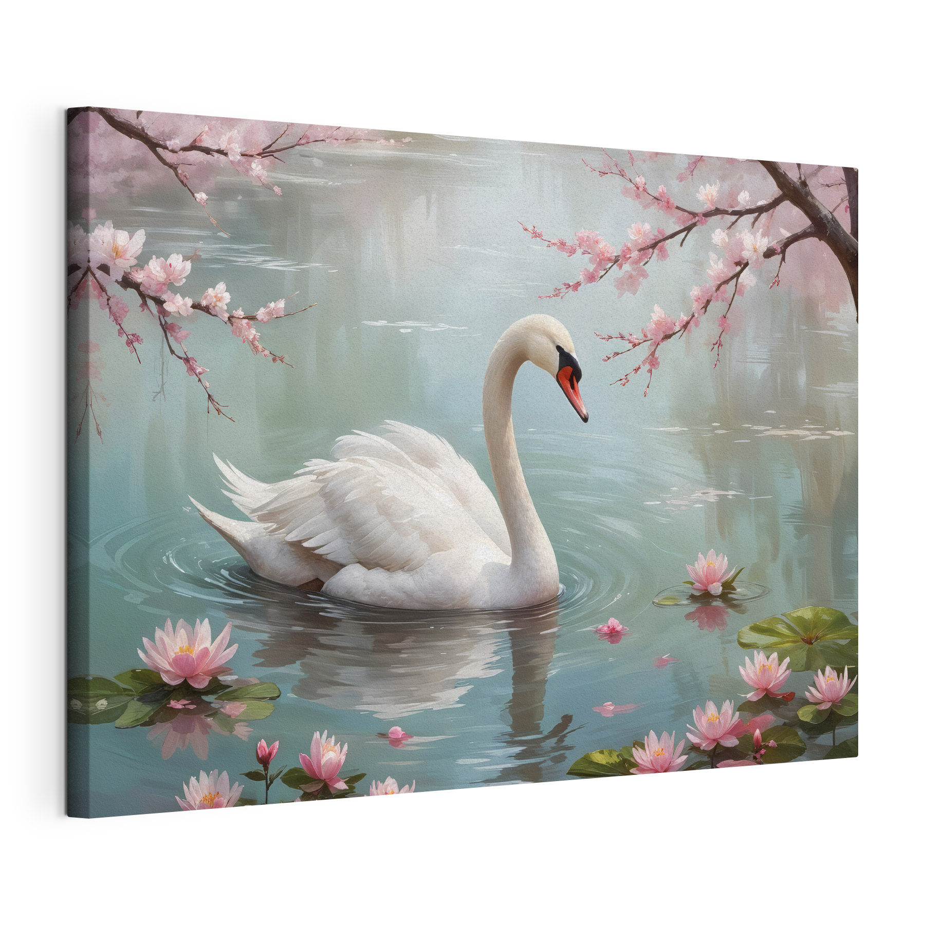 White swan in water with pink flowers