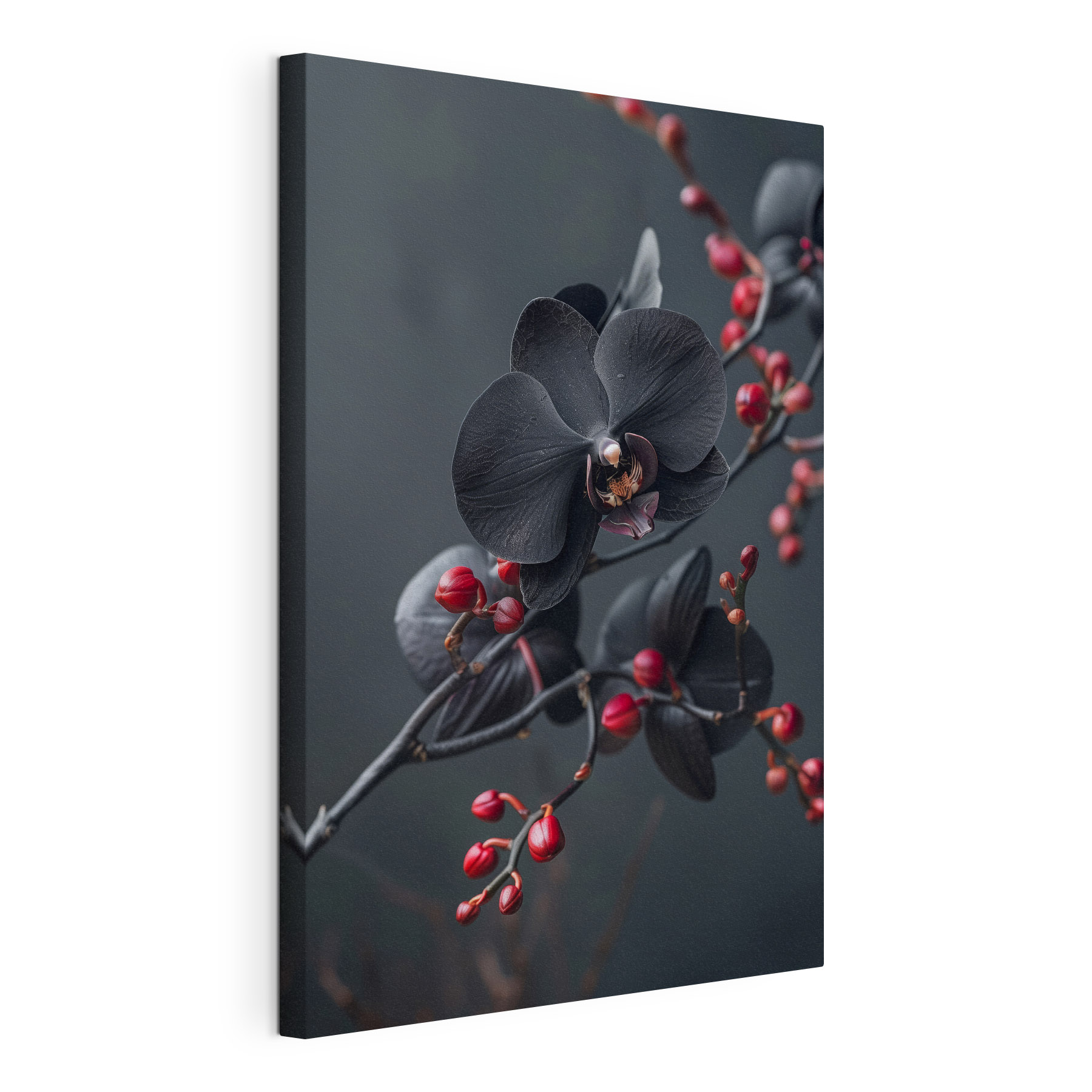 Black flower with red berries