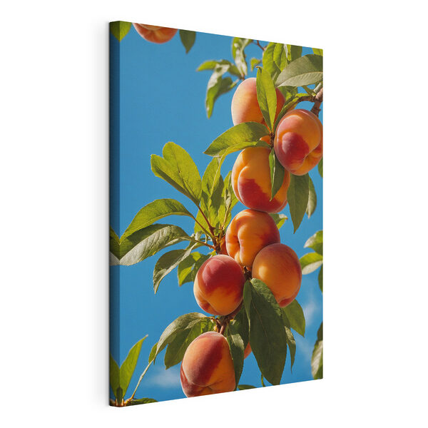 Quadri Un grappolo di pesche su un albero (COD: s40704) Quadri Quadri Un grappolo di pesche su un albero (COD: s40704)