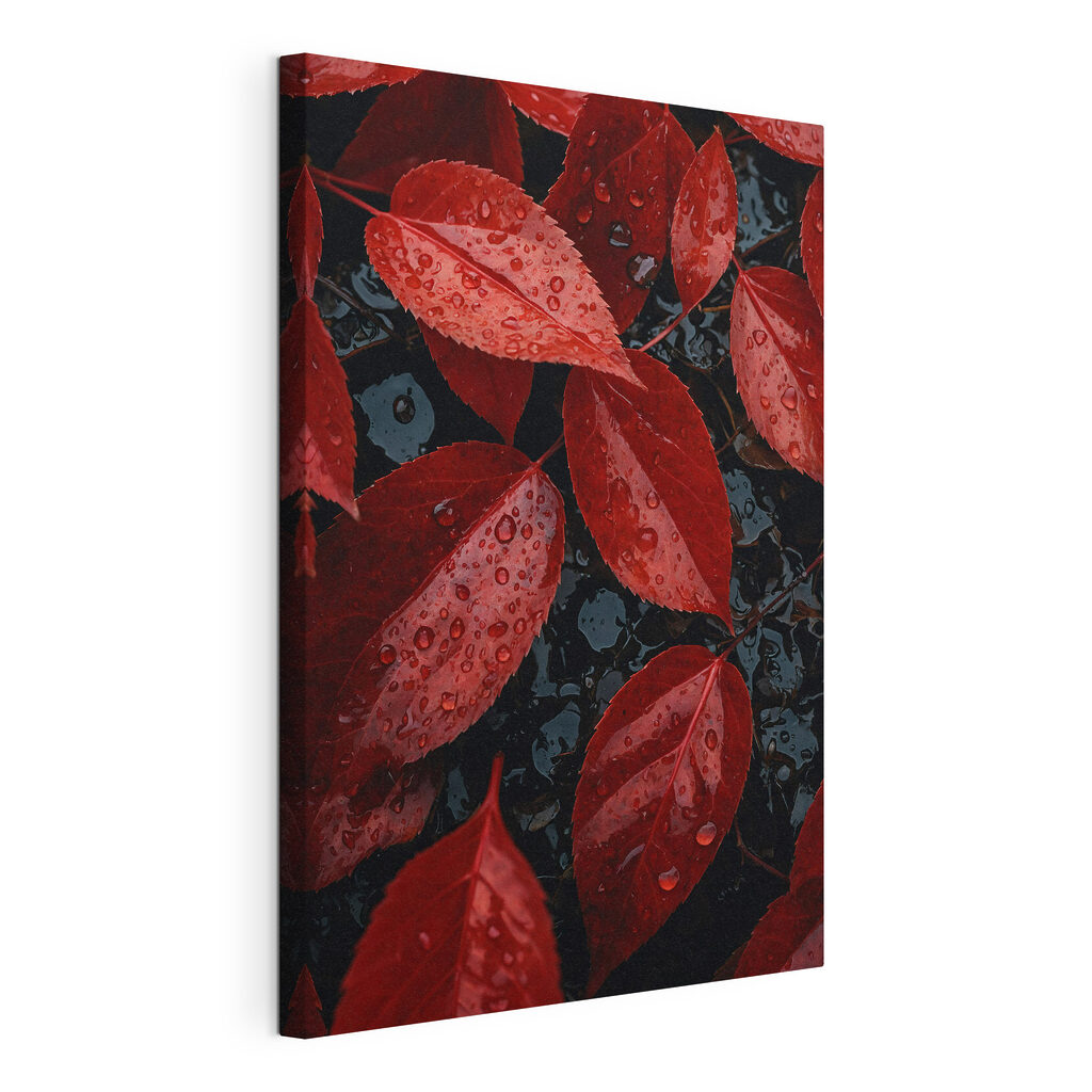 Red leaves with water droplets on them Red leaves with water droplets on them