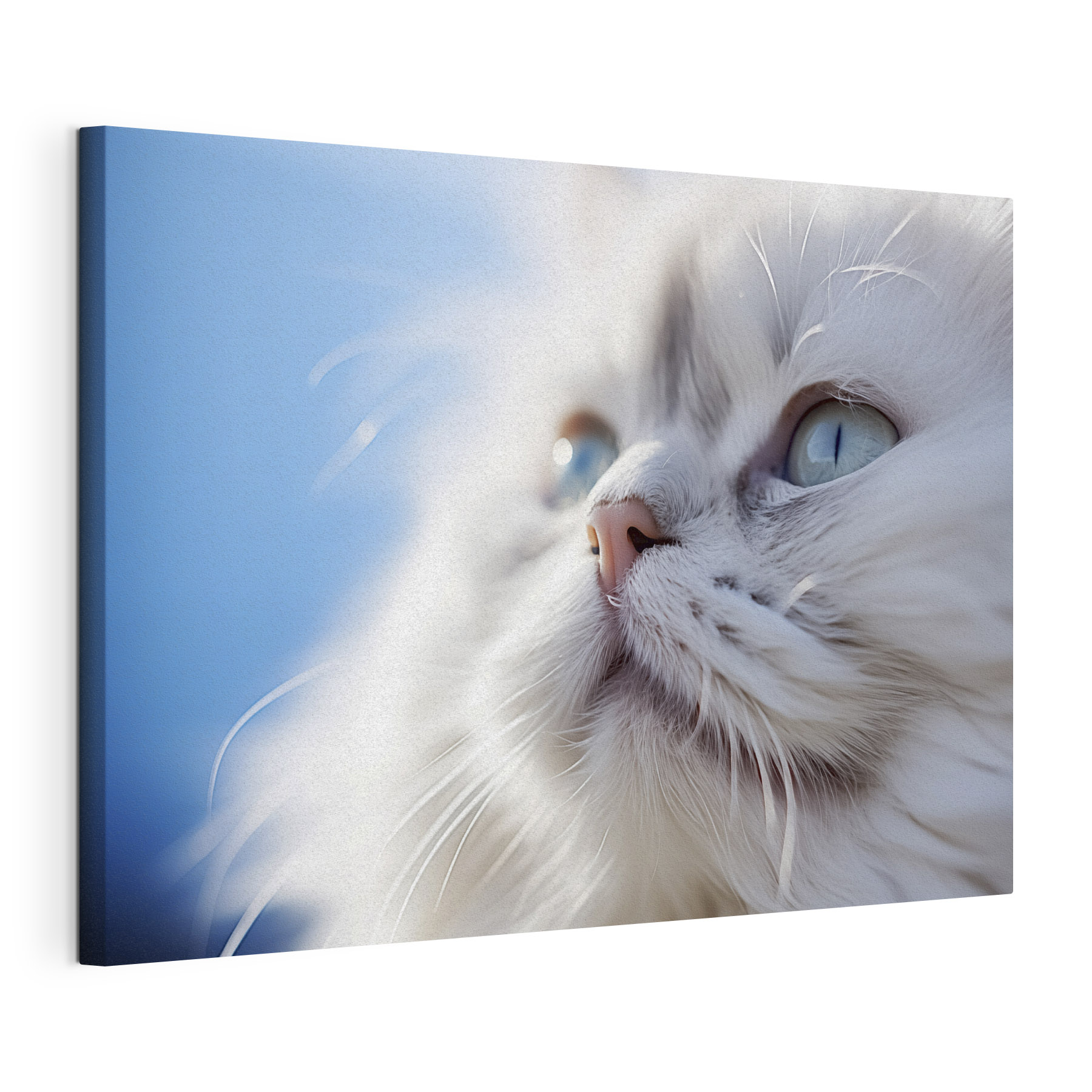 Feline grace under bright skies Feline grace under bright skies