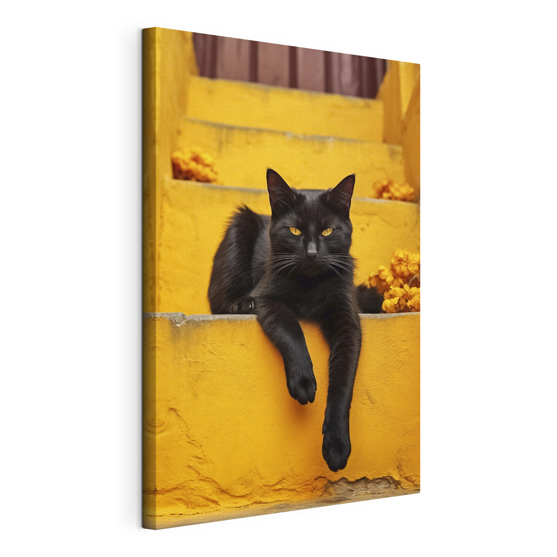 Black cat lying on a staircase Black cat lying on a staircase