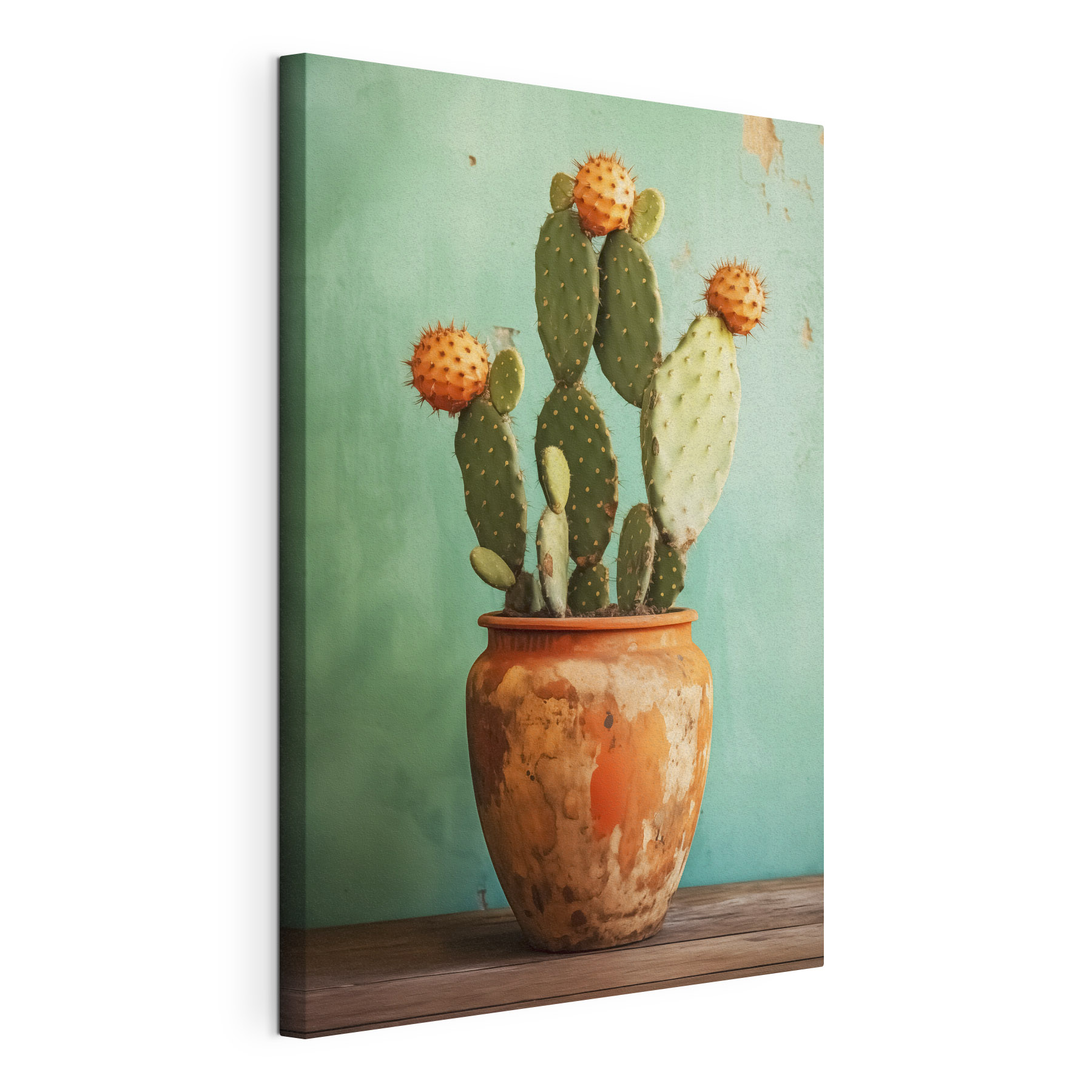 Cactus in a pot