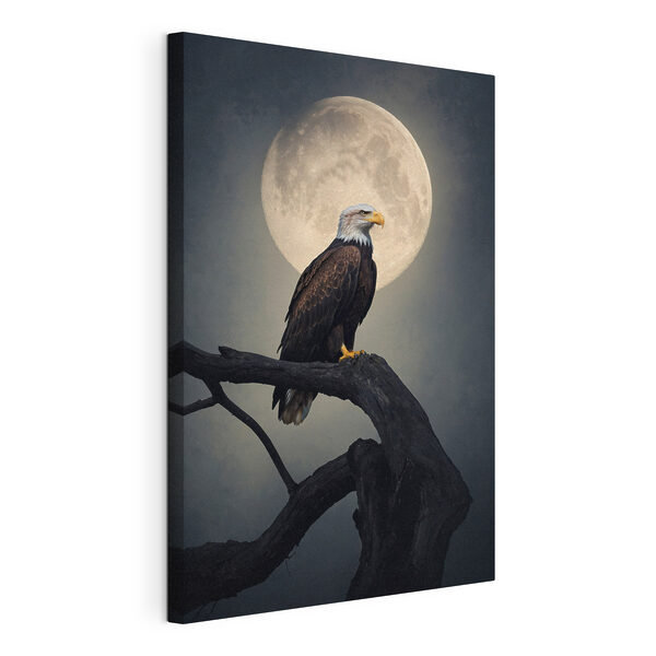 Quadri Un'aquila calva su un ramo con la luna piena sullo sfondo (COD: s40871) Quadri Quadri Un'aquila calva su un ramo con la luna piena sullo sfondo (COD: s40871)