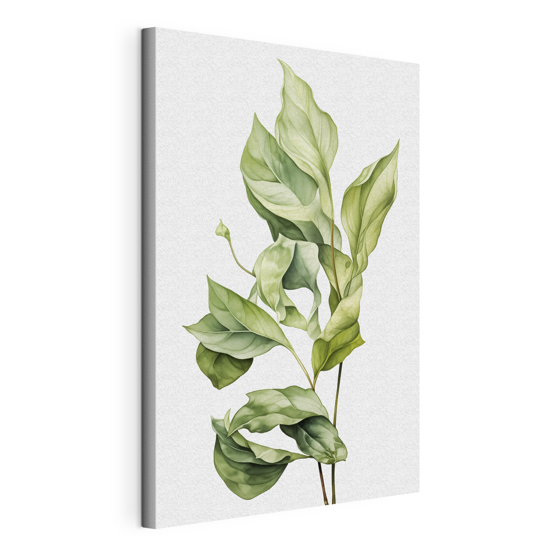 Lush green leaves in soft hues Lush green leaves in soft hues