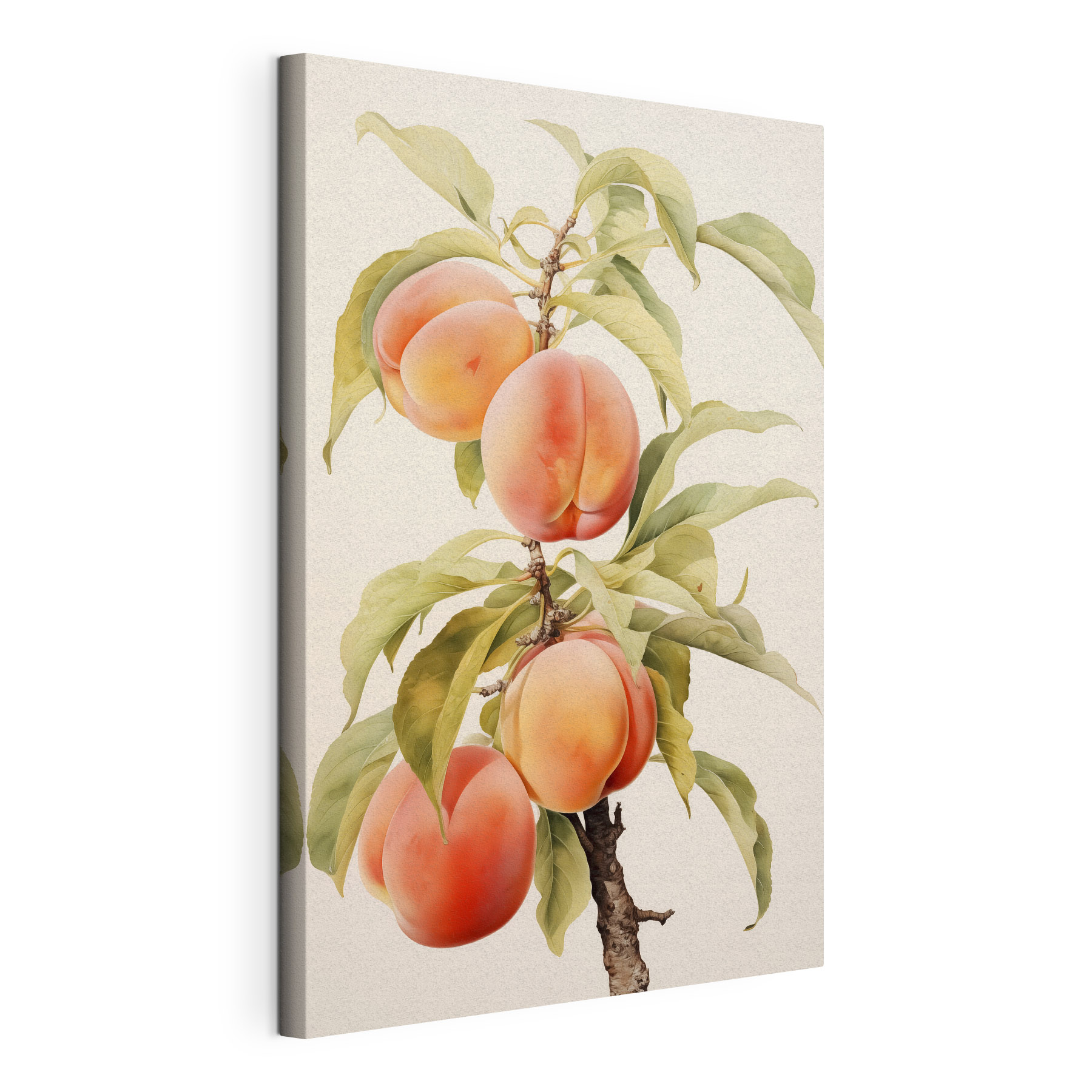 Branch of peaches with leaves Branch of peaches with leaves