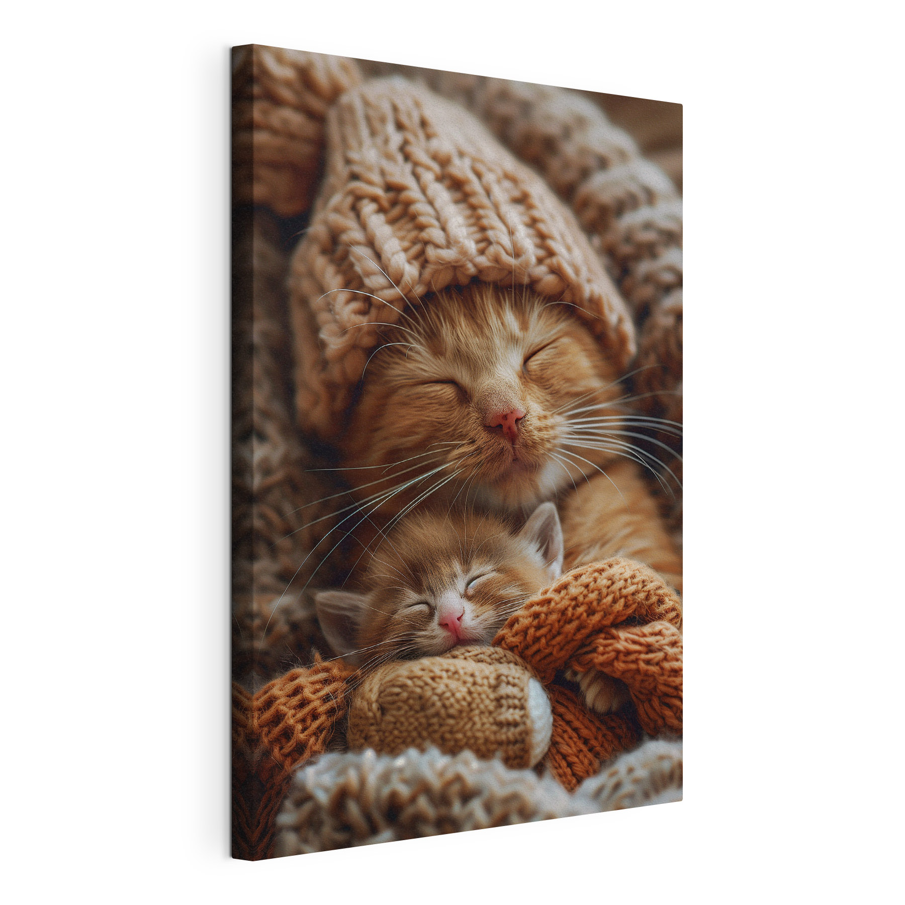 Cat and kitten in knitted hats